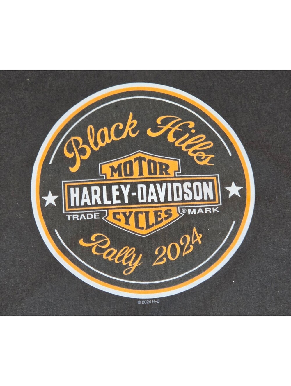 Harley-Davidson Black Hills Rally 2024 Black Short Sleeve T-Shirt Size Large